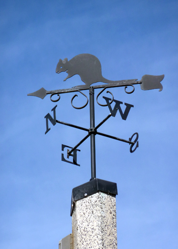 Visiting Perth’s Rottnest Island...