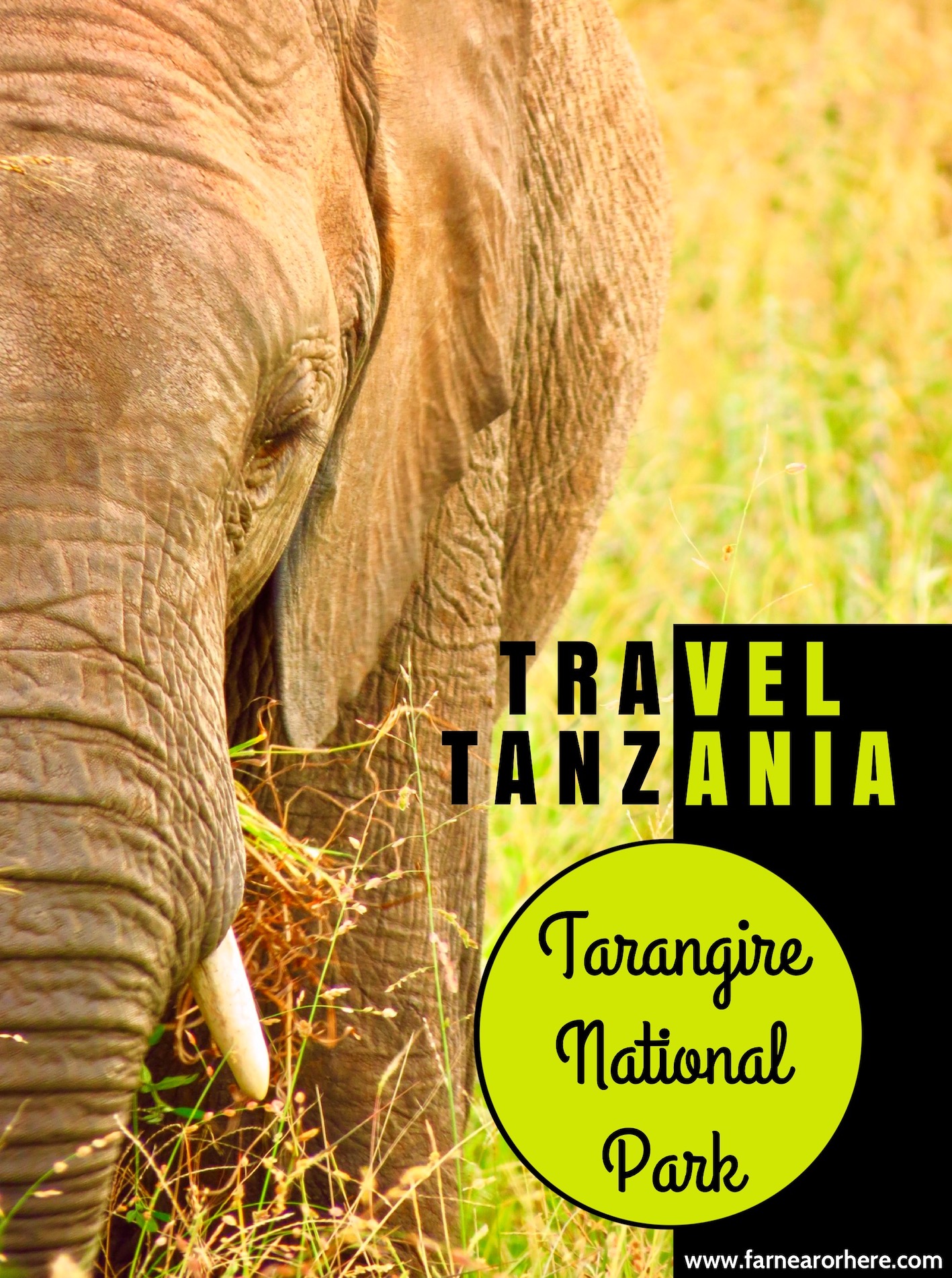 Travel Tanzania, Tarangire National Park ...