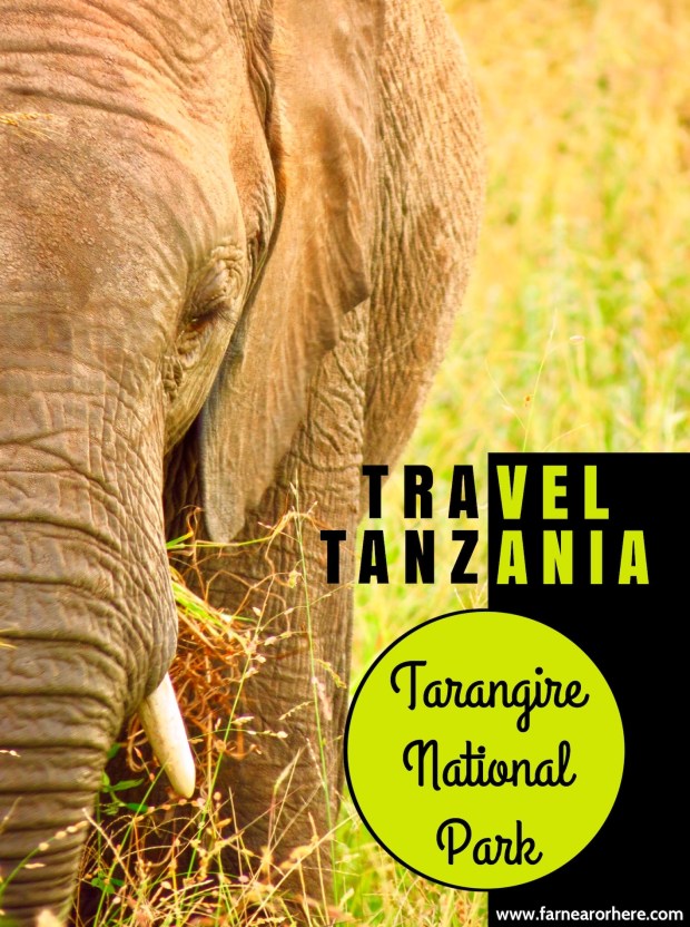 Travel Tanzania, Tarangire National Park ...