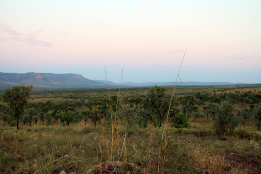 Kimberley 2014 (502)