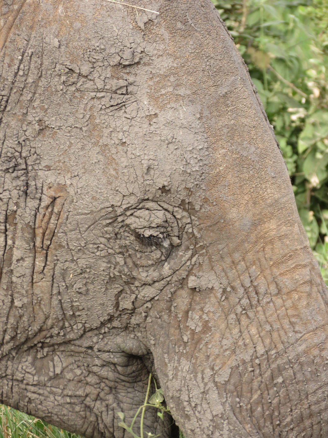 IMG_5562 resizetional Park ...