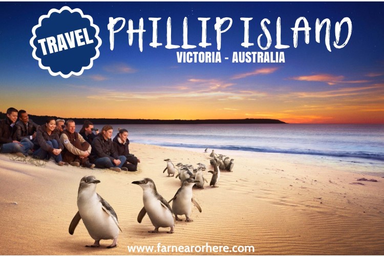 Visit Phillip Island, Australia ...