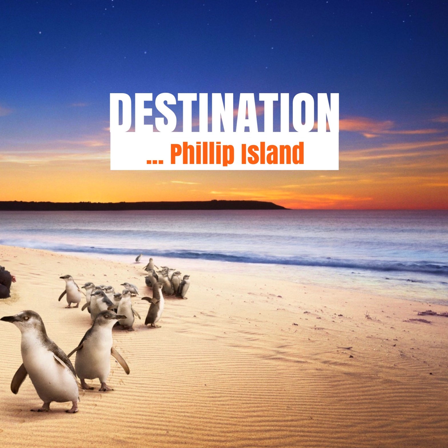 Visit Victoria, Phillip Island. ...