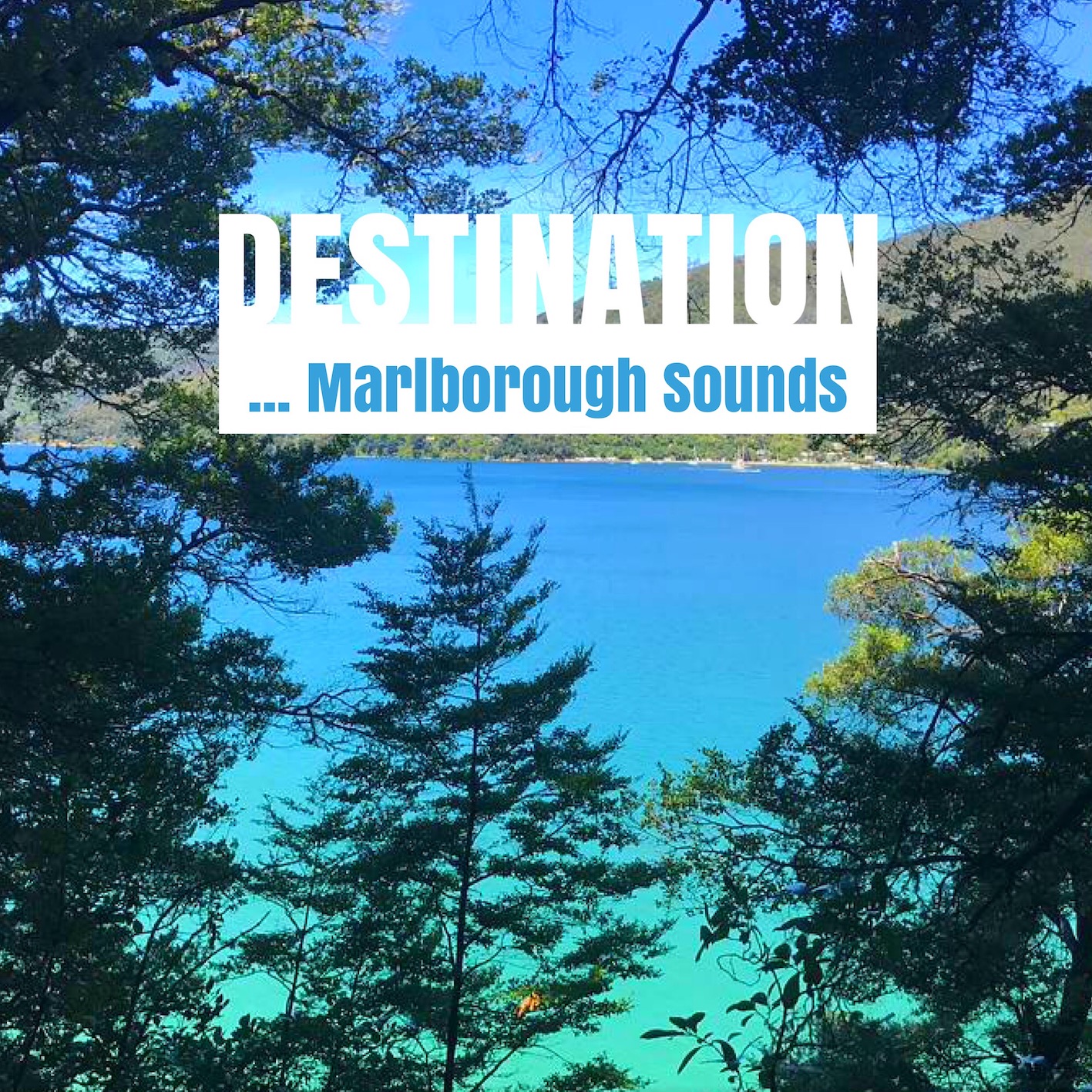 IMG_3808Travel New Zealand's Marlborough Sounds ...