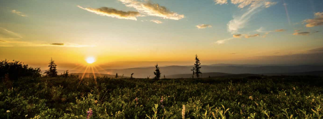 Midnight sun in Alaska ...