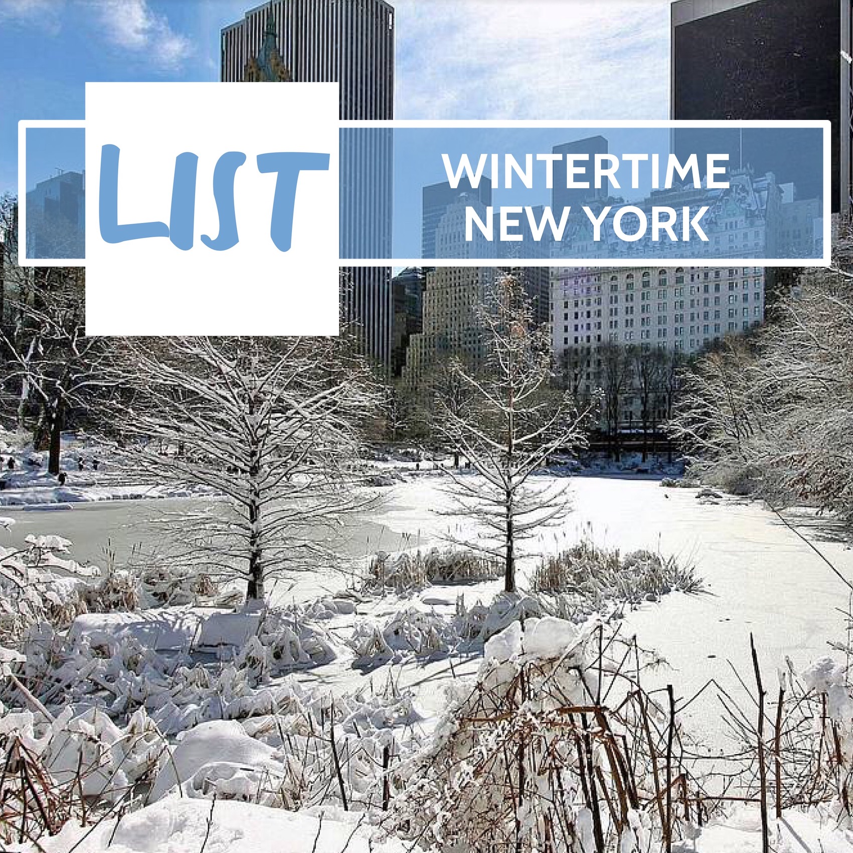 Wintertime New York ...