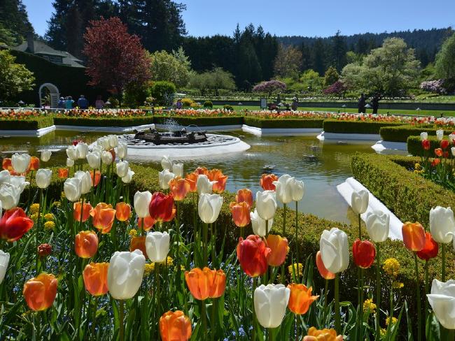 881da99c66b84c0140248de2061dbb84