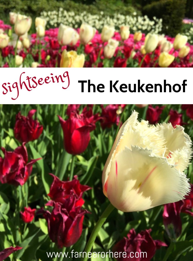 The Kuekenhof is a seasonal garden in the heart of the Netherlands, a stone's throw from Amsterdam, that is one of Europe's most beautiful sumer tourist destinations.