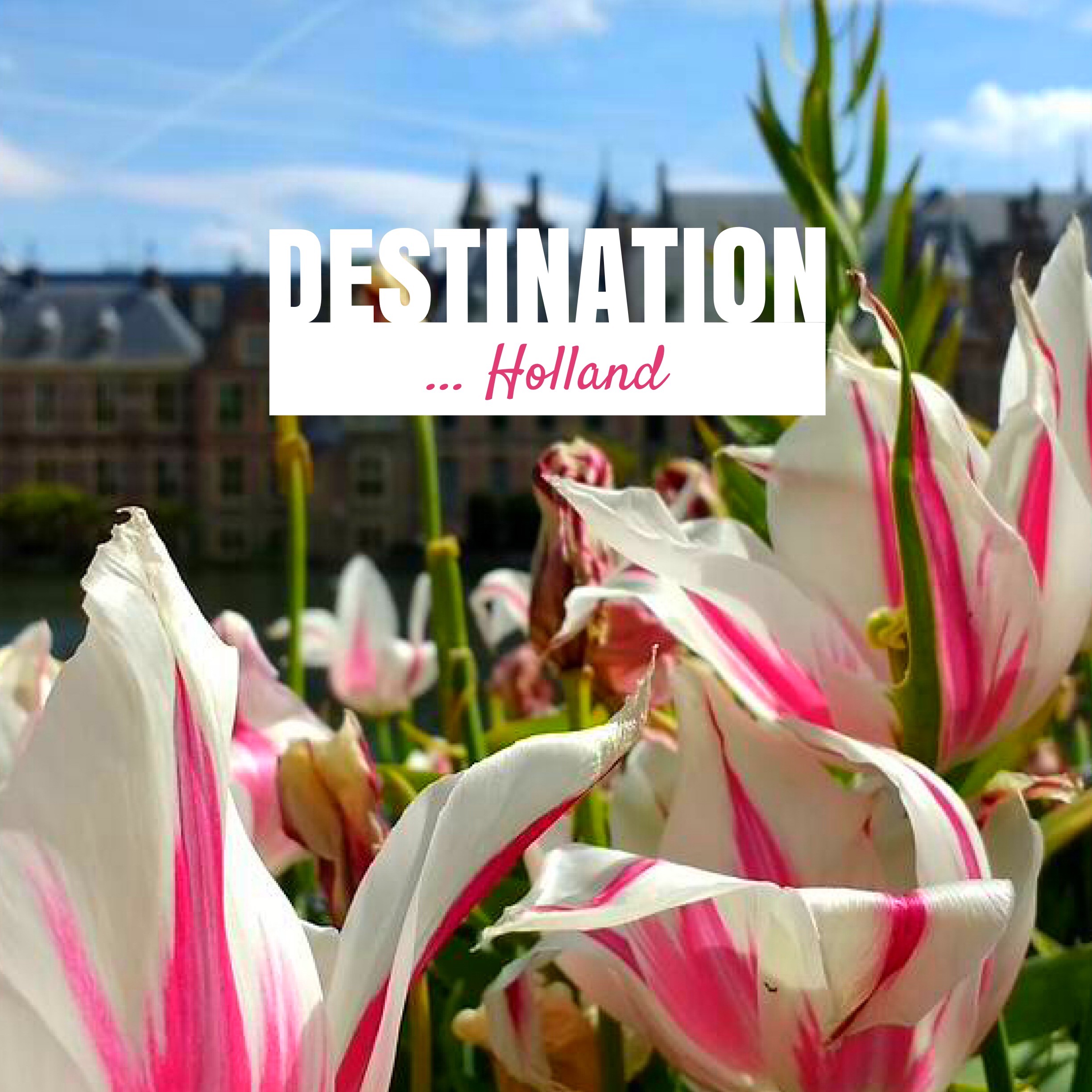 See springtime Holland by river boat ...