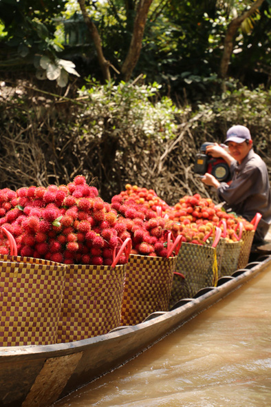 Crossing the Vietnam-Cambodia border riding a fast ferry along the Mekong River.