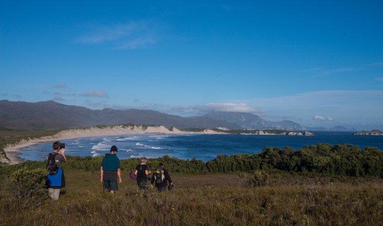 walking-towards-stephens-bay-an-ocean-beach-with-south-west-cape-in-the-background