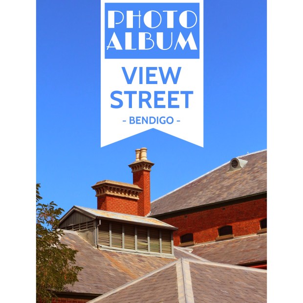 Photos from Bendigo's golden avenue View Street...