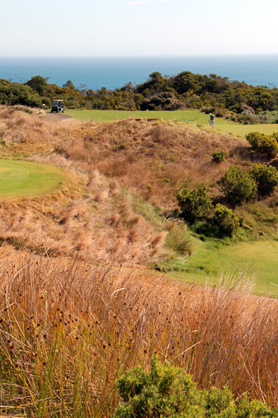 Cape Schanck, Mornington Peninsula, Victoria, Australia