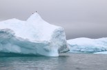 Antarctica, Cierva Cove. Photographer Sarah Nicholson
