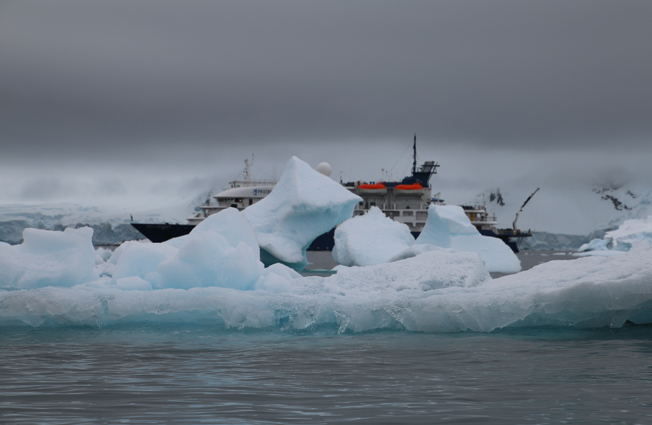 Antarctica, Cierva Cove. Photographer Sarah Nicholson