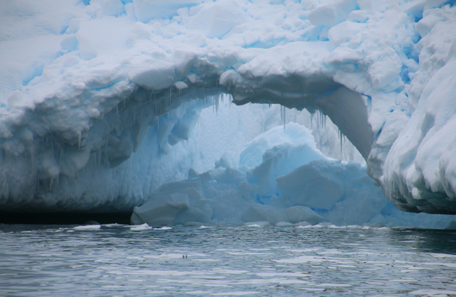 Antarctica, Cierva Cove. Photographer Sarah Nicholson