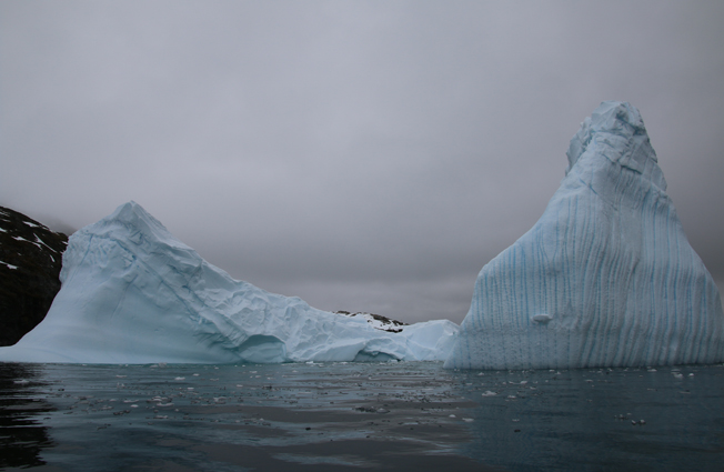 Antarctica, Cierva Cove. Photographer Sarah Nicholson
