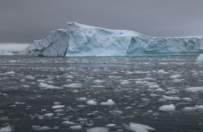 Antarctica, Cierva Cove. Photographer Sarah Nicholson