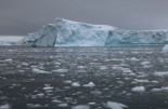 Antarctica, Cierva Cove. Photographer Sarah Nicholson