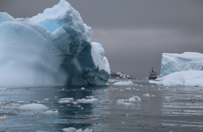 Antarctica, Cierva Cove. Photographer Sarah Nicholson