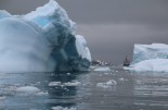 Antarctica, Cierva Cove. Photographer Sarah Nicholson