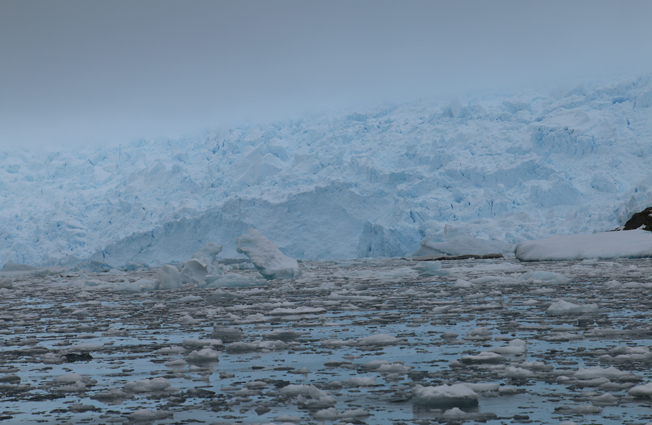 Antarctica, Cierva Cove. Photographer Sarah Nicholson