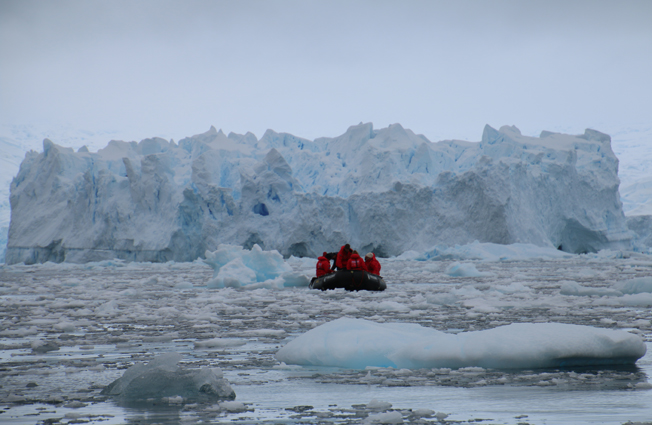 Antarctica, Cierva Cove. Photographer Sarah Nicholson