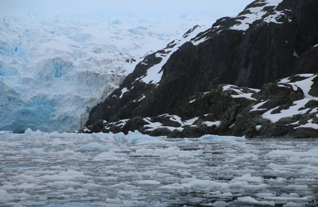 Antarctica, Cierva Cove. Photographer Sarah Nicholson