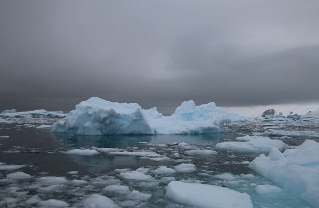 Antarctica, Cierva Cove. Photographer Sarah Nicholson