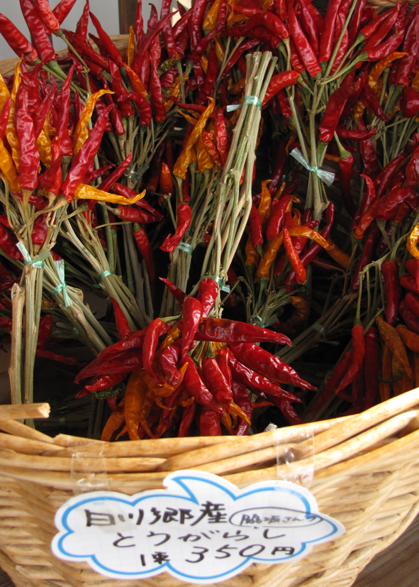 Ogimachi, Japan. Travel Gifu Prefecture...