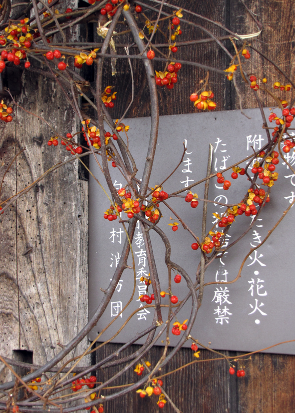 Ogimachi, Japan. Travel Gifu Prefecture...