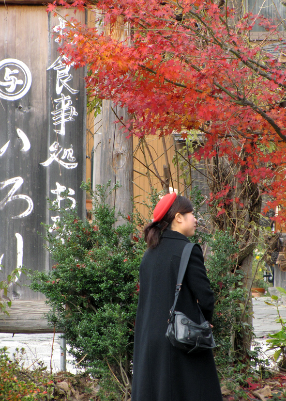 Ogimachi, Japan. Travel Gifu Prefecture...