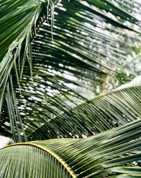 AVANI Quy Nhon, Vietnam