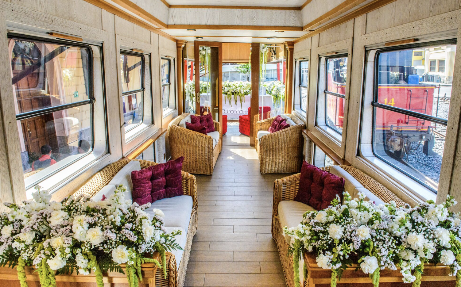 Tren Crucero, South America, train travel