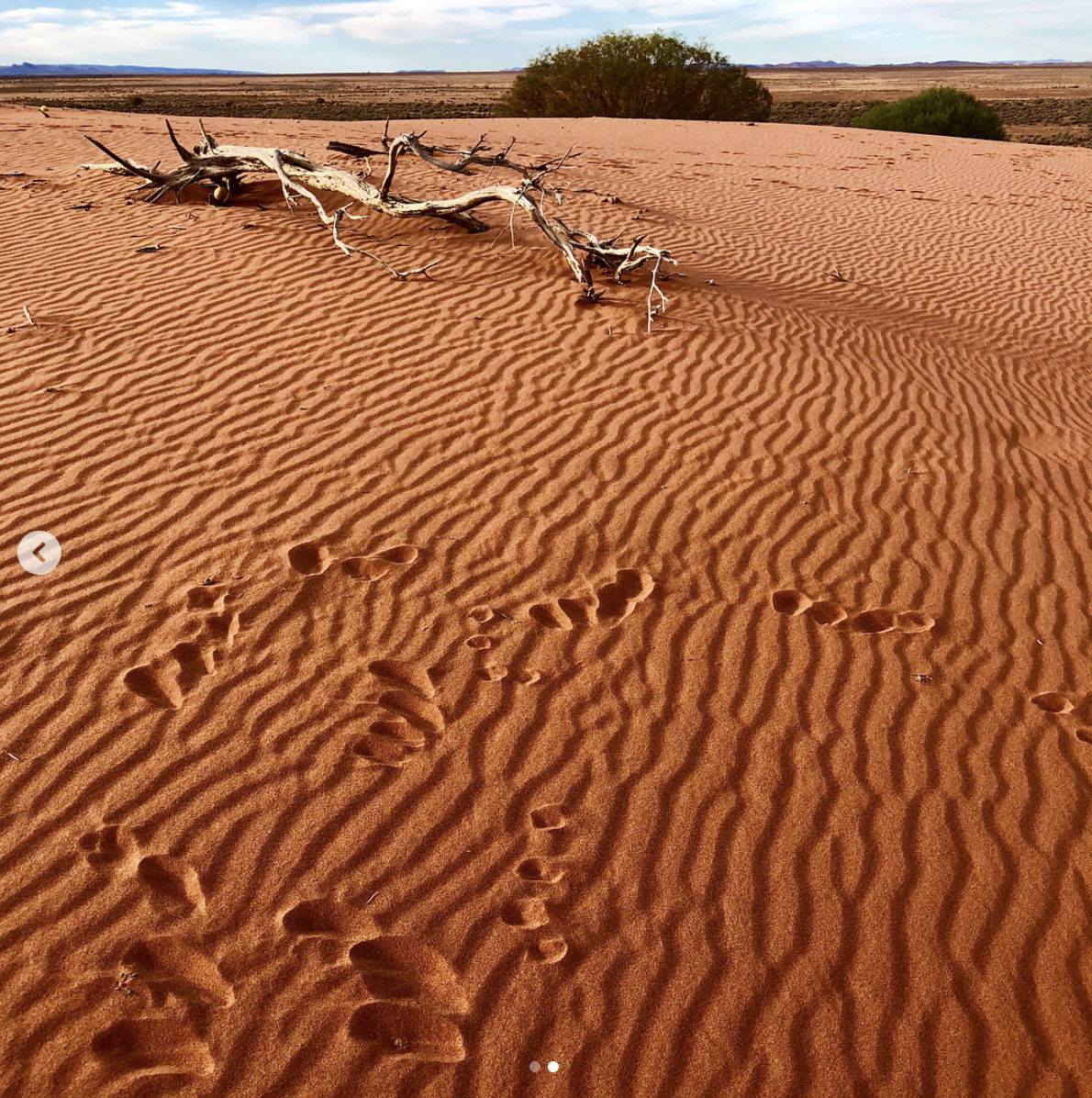 Nilpena Station, Flinders Ranges, Australia
