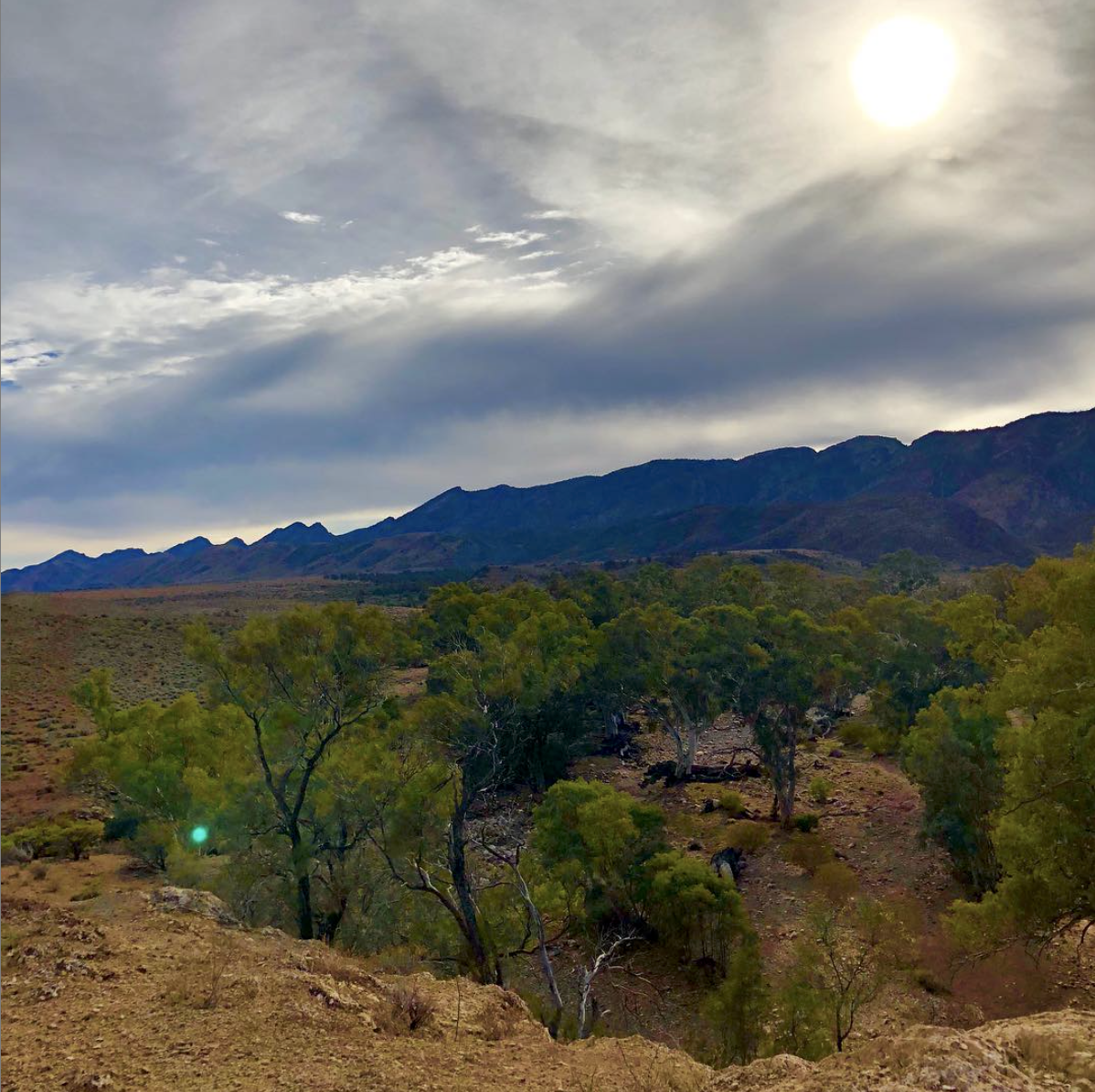 Flinders Ranges, South Australia, outback Australia