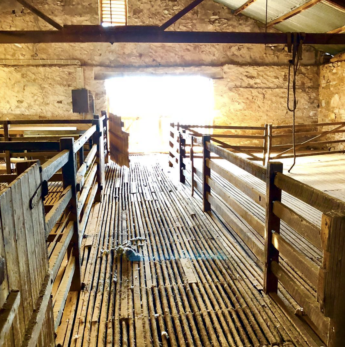 Nilpena Station, Flinders Ranges, Australia