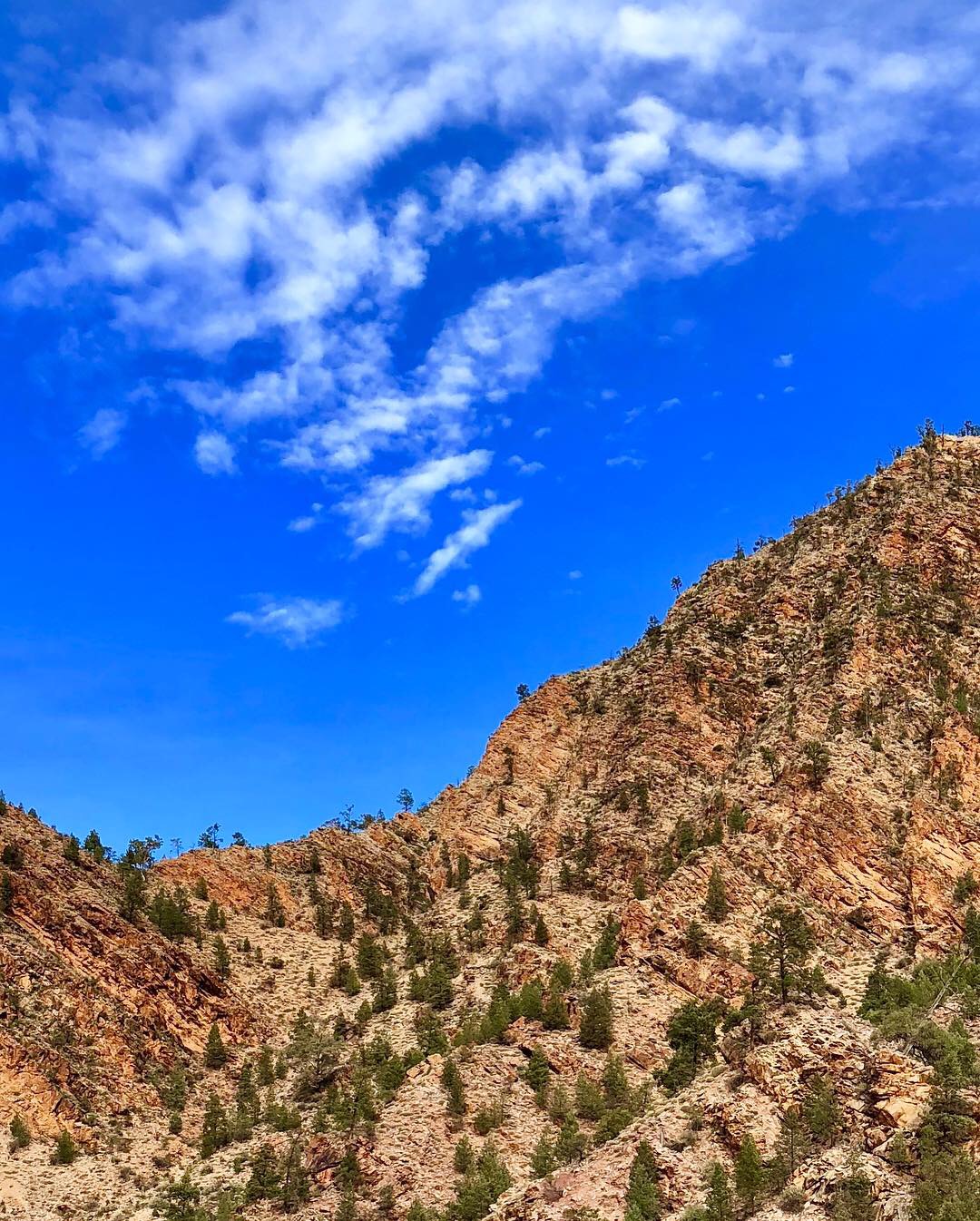 Flinders Ranges, outback Australia