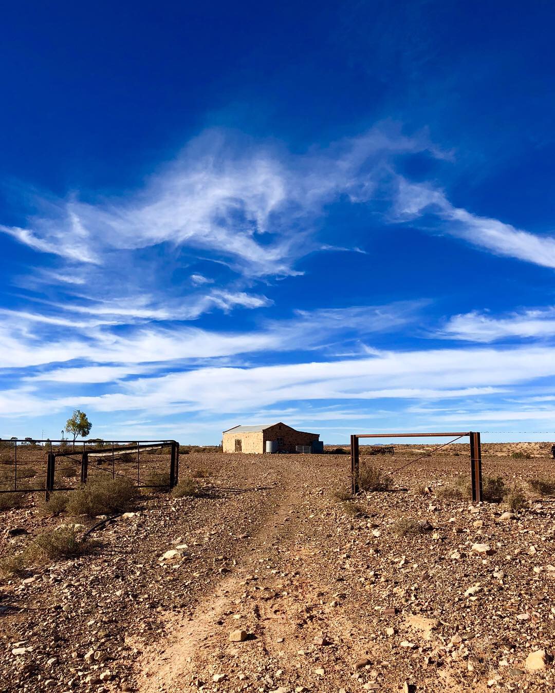 Flinders Ranges, outback Australia