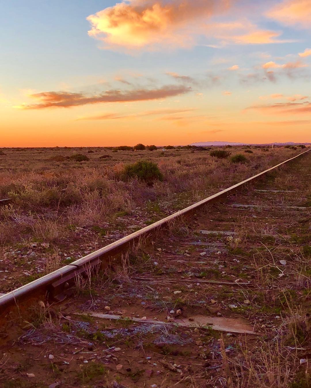Flinders Ranges, outback Australia
