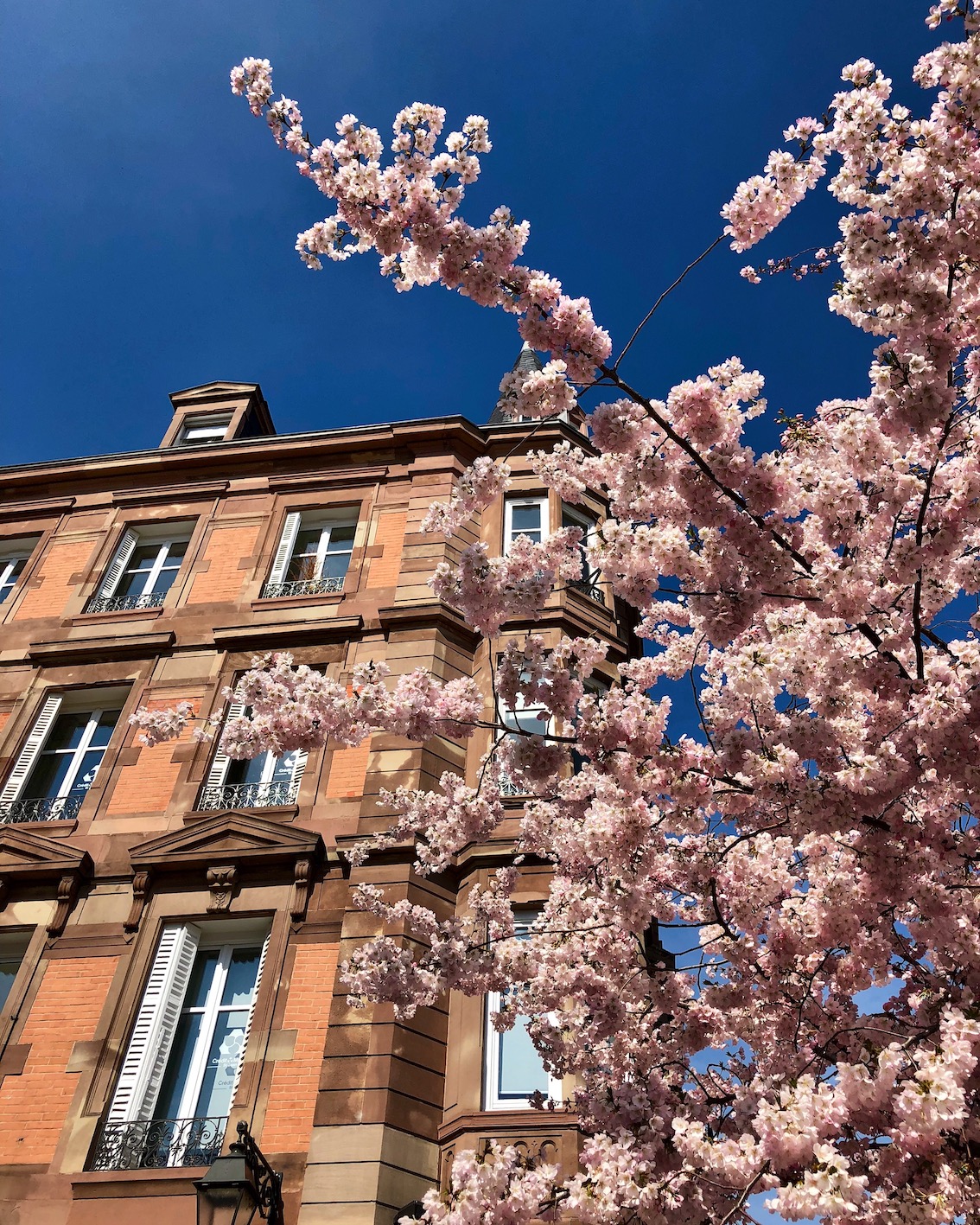 Travel Strasbourg, France ...