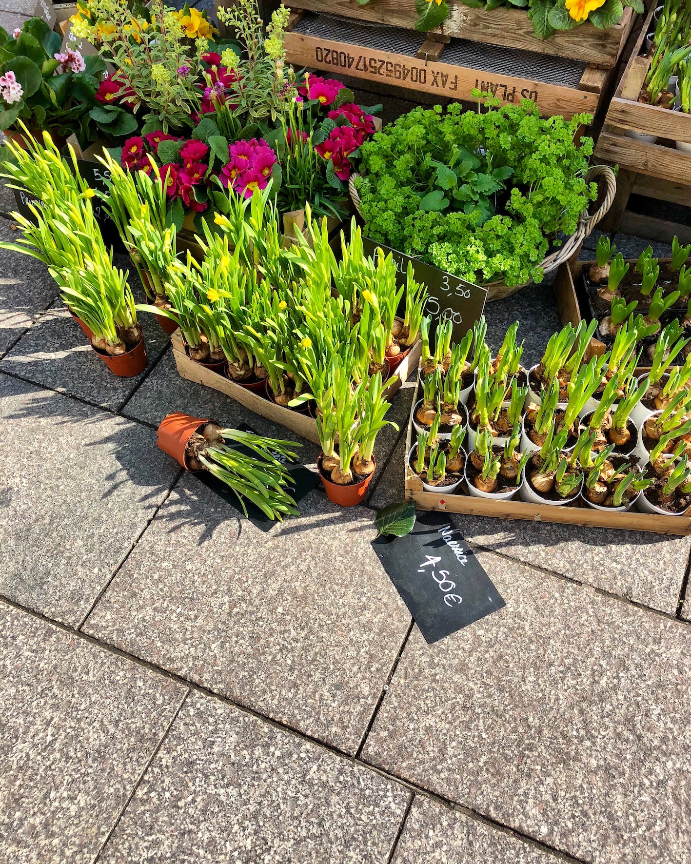 Travel Strasbourg, France ...