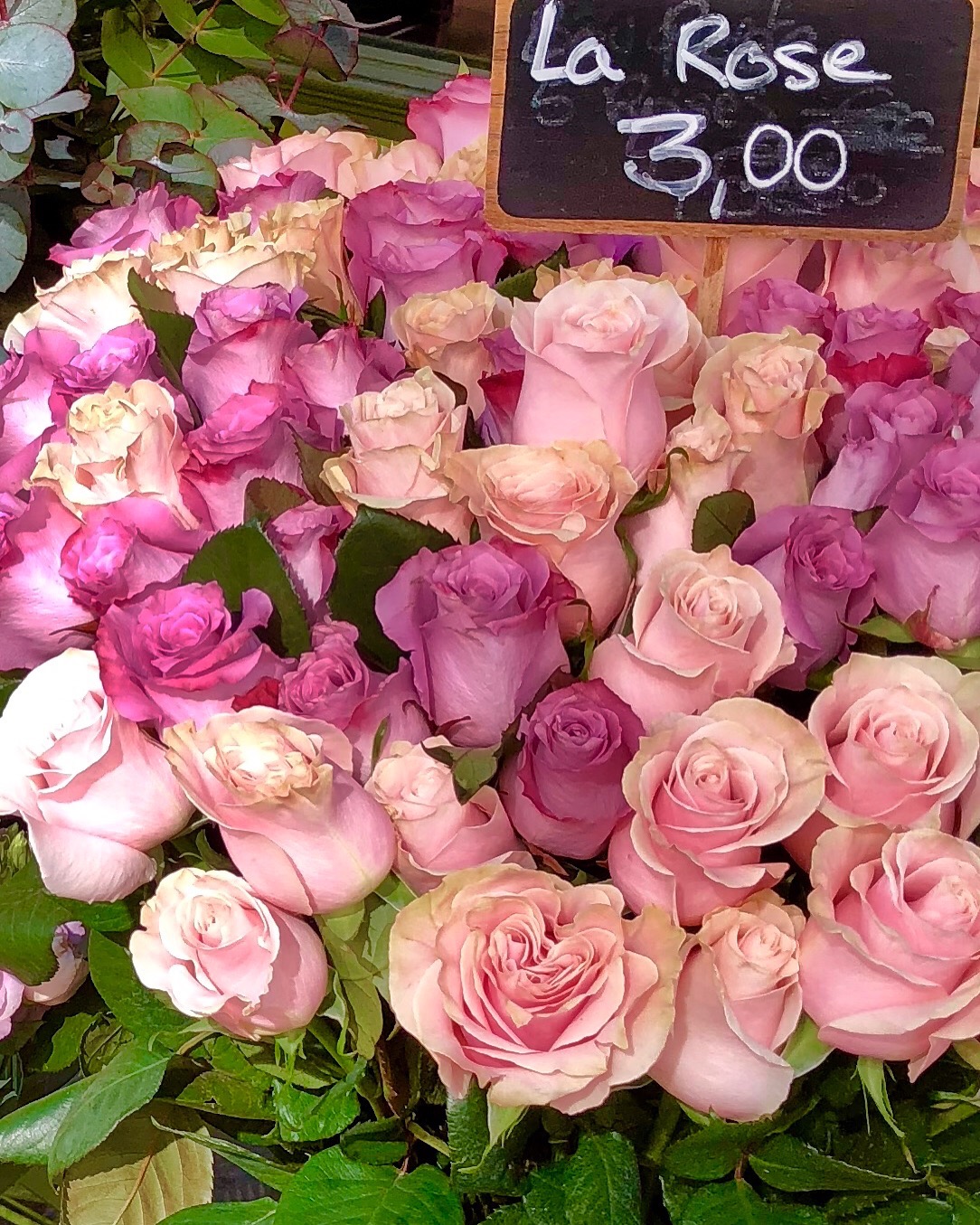 Travel Strasbourg, France ...