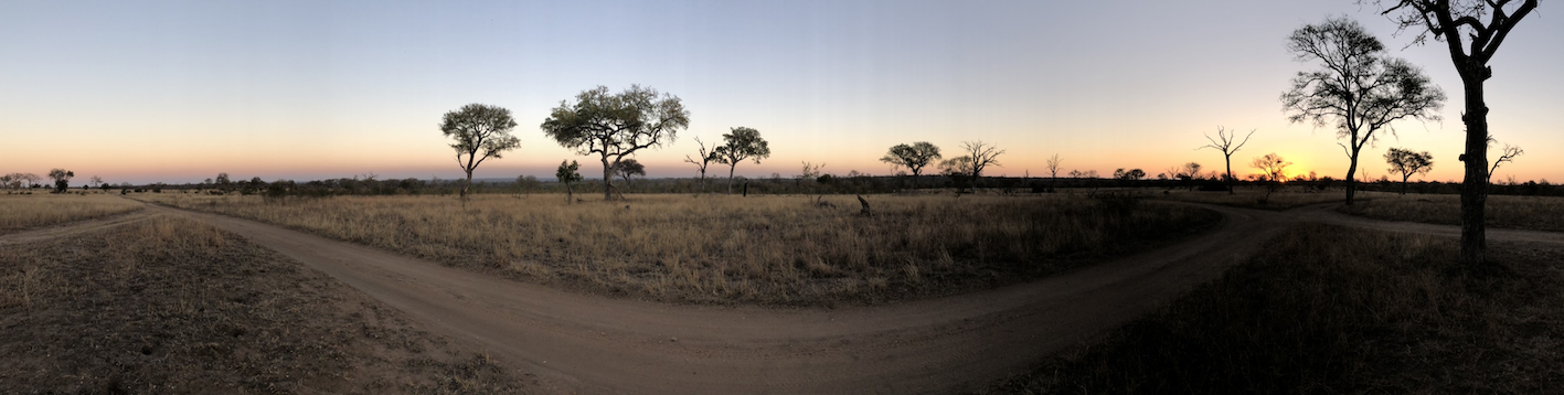 Sabi Sabi sunset