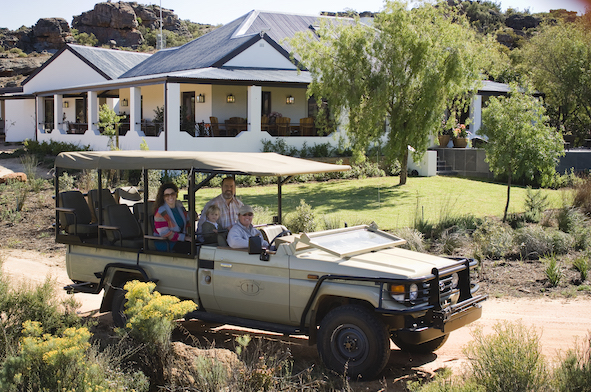 Bushmans Kloof Wildlife Zebra, South Africa